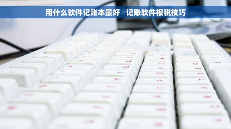 用什么软件记账本最好   记账软件报税技巧