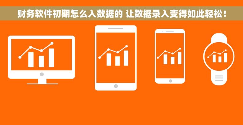 财务软件初期怎么入数据的 让数据录入变得如此轻松！