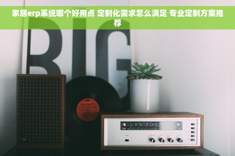 家居erp系统哪个好用点 定制化需求怎么满足 专业定制方案推荐