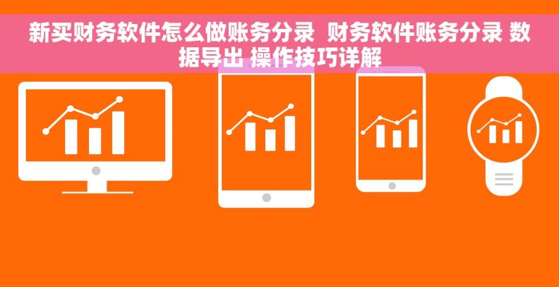 新买财务软件怎么做账务分录  财务软件账务分录 数据导出 操作技巧详解