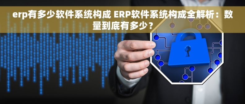 erp有多少软件系统构成 ERP软件系统构成全解析：数量到底有多少？