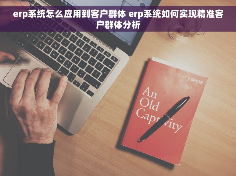 erp系统怎么应用到客户群体 erp系统如何实现精准客户群体分析