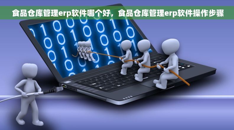  食品仓库管理erp软件哪个好，食品仓库管理erp软件操作步骤