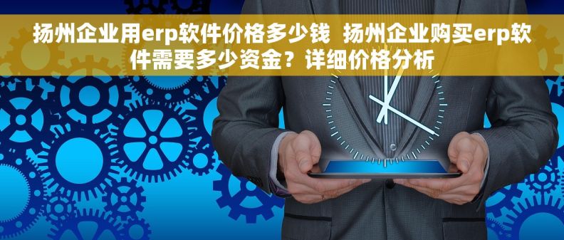 扬州企业用erp软件价格多少钱  扬州企业购买erp软件需要多少资金？详细价格分析