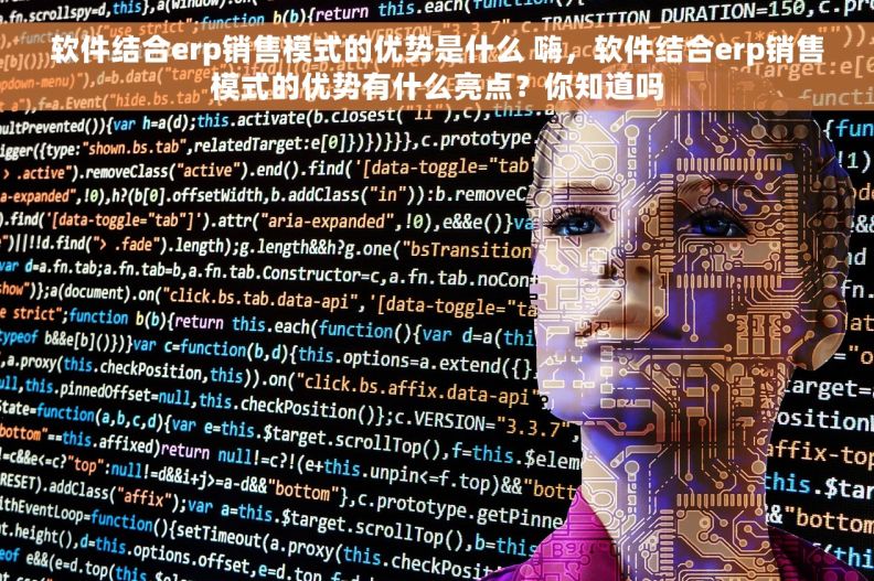 软件结合erp销售模式的优势是什么 嗨，软件结合erp销售模式的优势有什么亮点？你知道吗