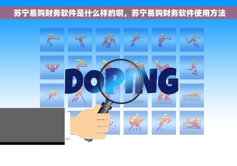  苏宁易购财务软件是什么样的啊，苏宁易购财务软件使用方法