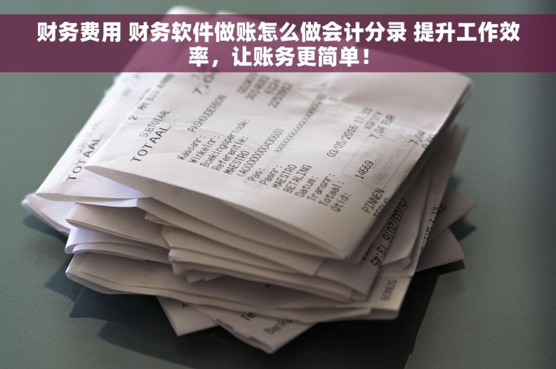 财务费用 财务软件做账怎么做会计分录 提升工作效率，让账务更简单！