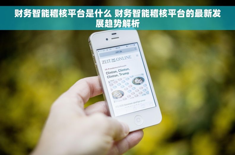 财务智能稽核平台是什么 财务智能稽核平台的最新发展趋势解析