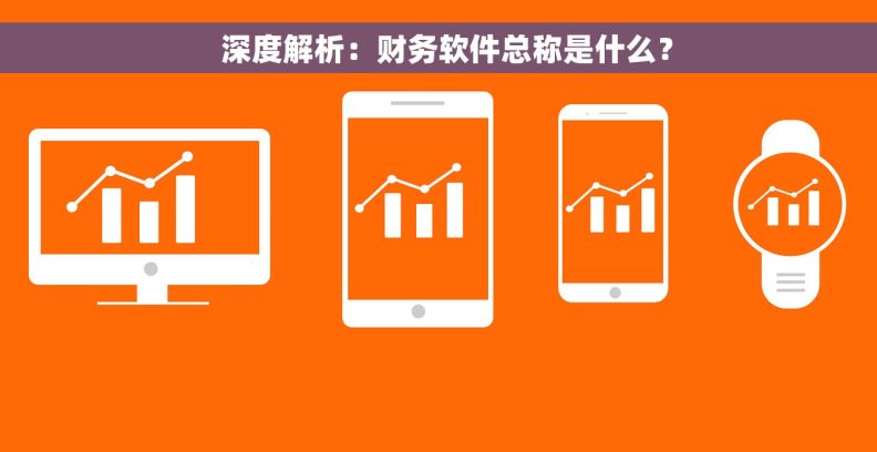   深度解析：财务软件总称是什么？