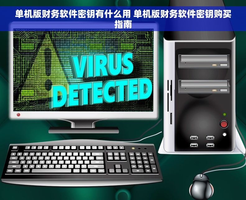 单机版财务软件密钥有什么用 单机版财务软件密钥购买指南
