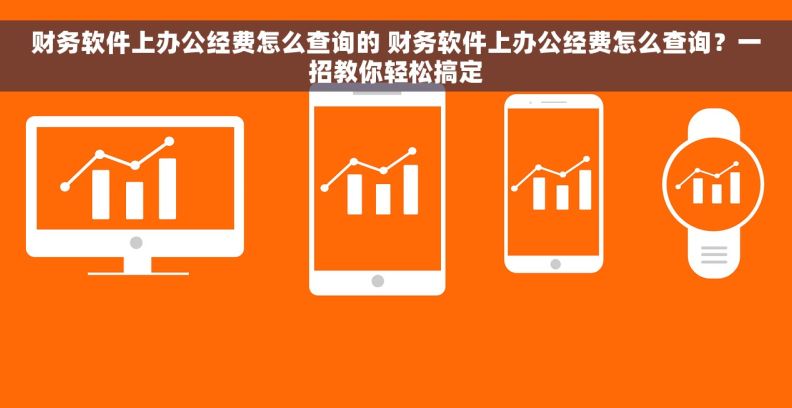 财务软件上办公经费怎么查询的 财务软件上办公经费怎么查询？一招教你轻松搞定