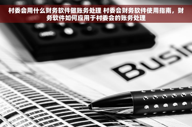 村委会用什么财务软件做账务处理 村委会财务软件使用指南，财务软件如何应用于村委会的账务处理