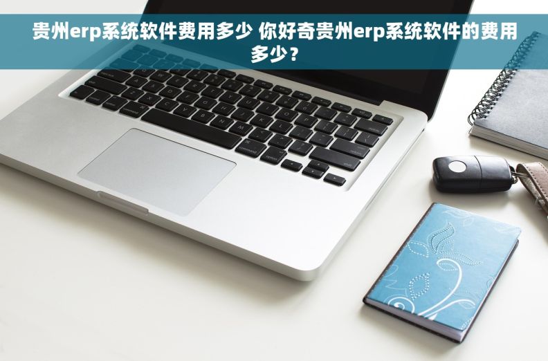 贵州erp系统软件费用多少 你好奇贵州erp系统软件的费用多少？