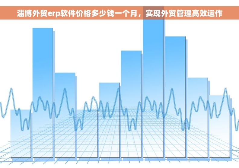 淄博外贸erp软件价格多少钱一个月，实现外贸管理高效运作