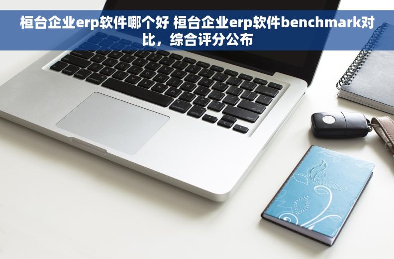 桓台企业erp软件哪个好 桓台企业erp软件benchmark对比，综合评分公布