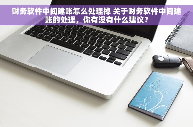 财务软件中间建账怎么处理掉 关于财务软件中间建账的处理，你有没有什么建议？