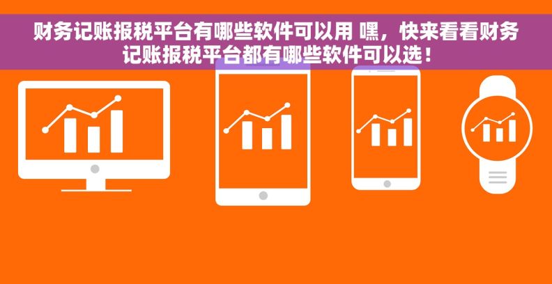 财务记账报税平台有哪些软件可以用 嘿，快来看看财务记账报税平台都有哪些软件可以选！