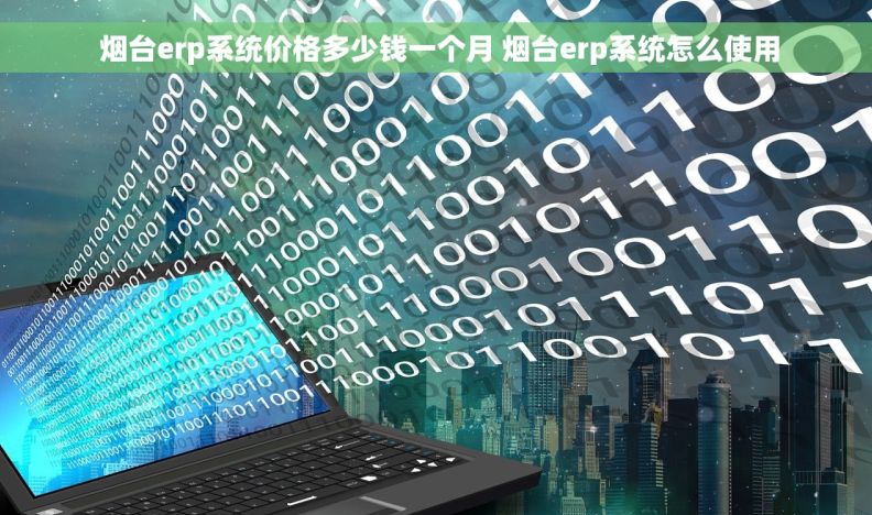  烟台erp系统价格多少钱一个月 烟台erp系统怎么使用