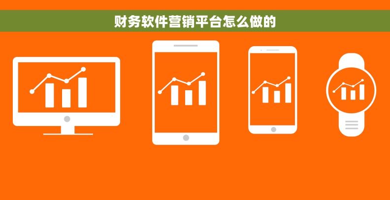 财务软件营销平台怎么做的