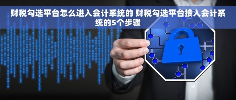 财税勾选平台怎么进入会计系统的 财税勾选平台接入会计系统的5个步骤