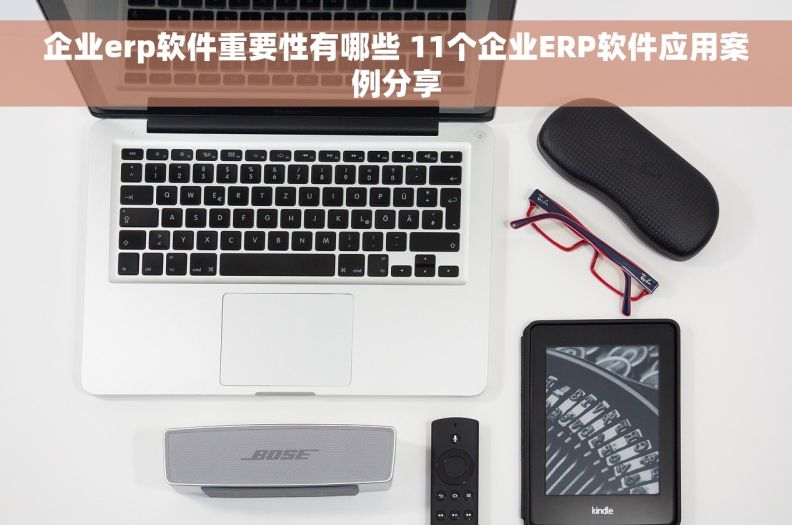 企业erp软件重要性有哪些 11个企业ERP软件应用案例分享