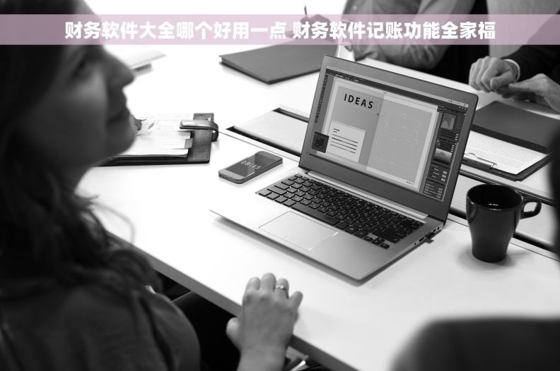 财务软件大全哪个好用一点 财务软件记账功能全家福
