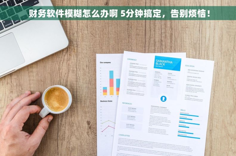  财务软件模糊怎么办啊 5分钟搞定，告别烦恼！