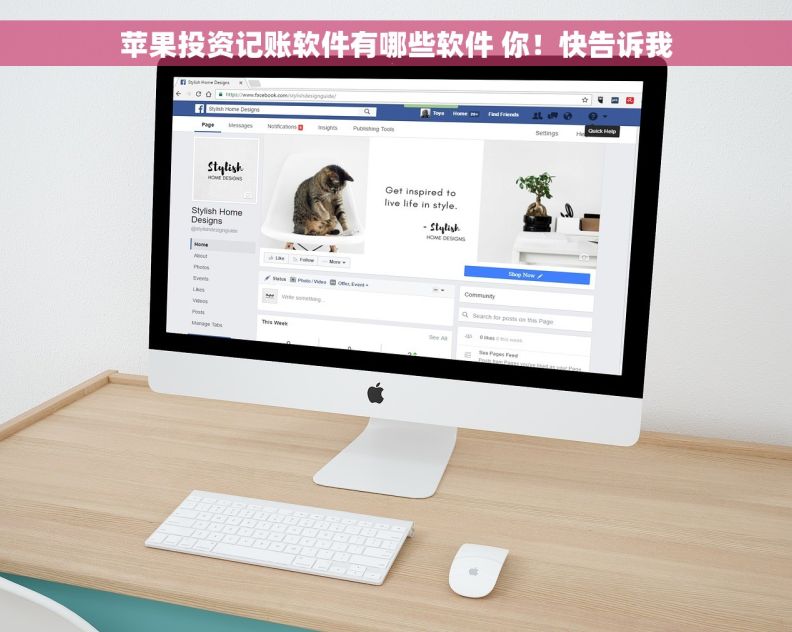 苹果投资记账软件有哪些软件 你！快告诉我