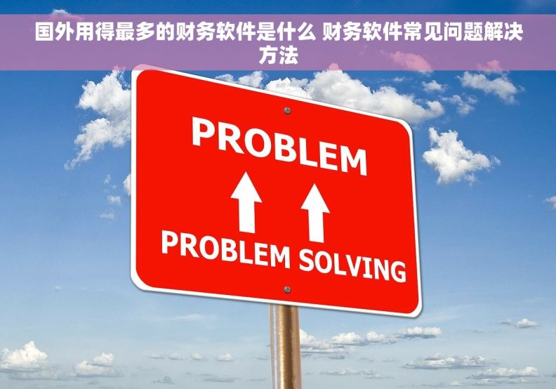 国外用得最多的财务软件是什么 财务软件常见问题解决方法