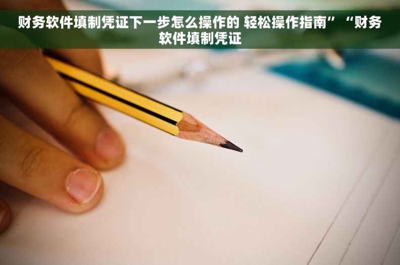 财务软件填制凭证下一步怎么操作的 轻松操作指南”“财务软件填制凭证