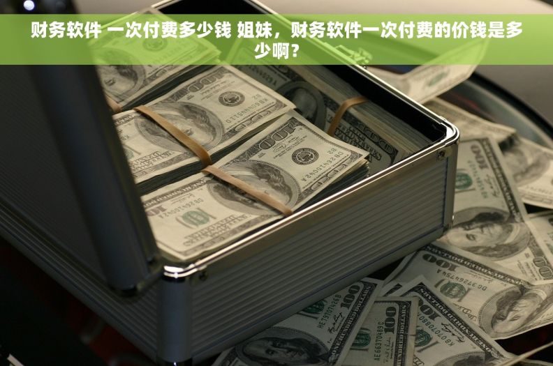 财务软件 一次付费多少钱 姐妹，财务软件一次付费的价钱是多少啊？