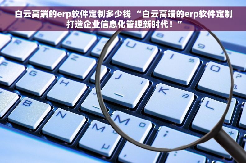白云高端的erp软件定制多少钱 “白云高端的erp软件定制 打造企业信息化管理新时代！”
