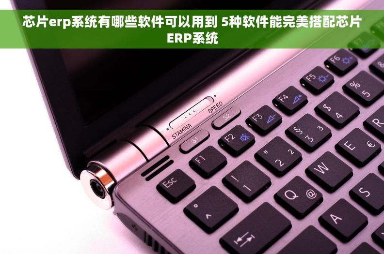 芯片erp系统有哪些软件可以用到 5种软件能完美搭配芯片ERP系统