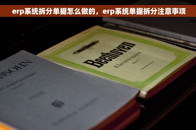  erp系统拆分单据怎么做的，erp系统单据拆分注意事项