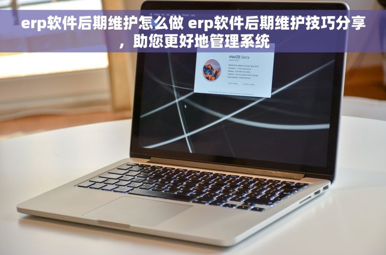 erp软件后期维护怎么做 erp软件后期维护技巧分享，助您更好地管理系统