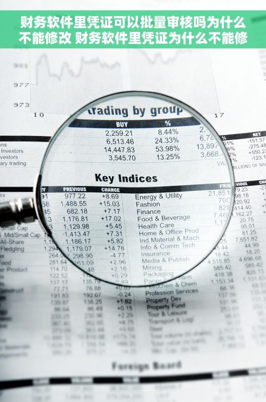 财务软件里凭证可以批量审核吗为什么不能修改 财务软件里凭证为什么不能修改？批量审核生效立即