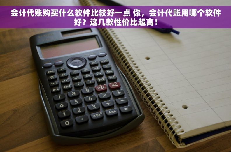会计代账购买什么软件比较好一点 你，会计代账用哪个软件好？这几款性价比超高！