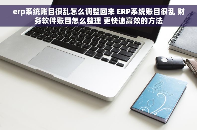 erp系统账目很乱怎么调整回来 ERP系统账目很乱 财务软件账目怎么整理 更快速高效的方法