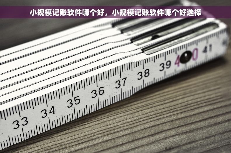 小规模记账软件哪个好，小规模记账软件哪个好选择