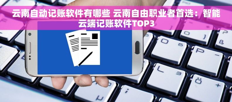云南自动记账软件有哪些 云南自由职业者首选：智能云端记账软件TOP3