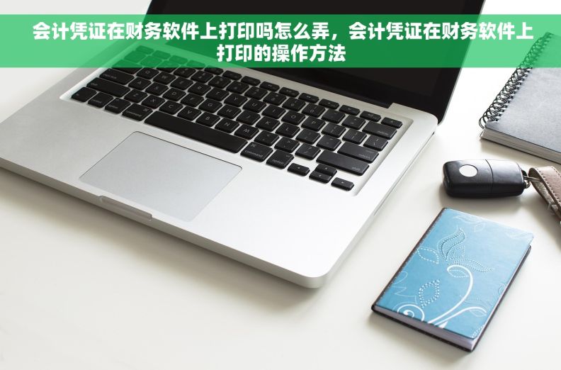  会计凭证在财务软件上打印吗怎么弄，会计凭证在财务软件上打印的操作方法