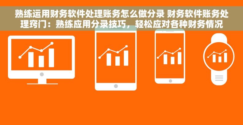 熟练运用财务软件处理账务怎么做分录 财务软件账务处理窍门：熟练应用分录技巧，轻松应对各种财务情况