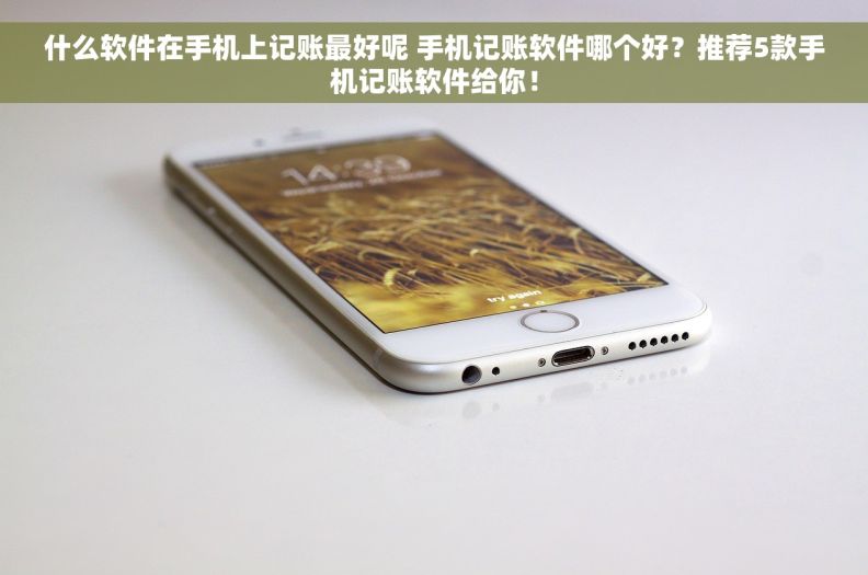 什么软件在手机上记账最好呢 手机记账软件哪个好？推荐5款手机记账软件给你！