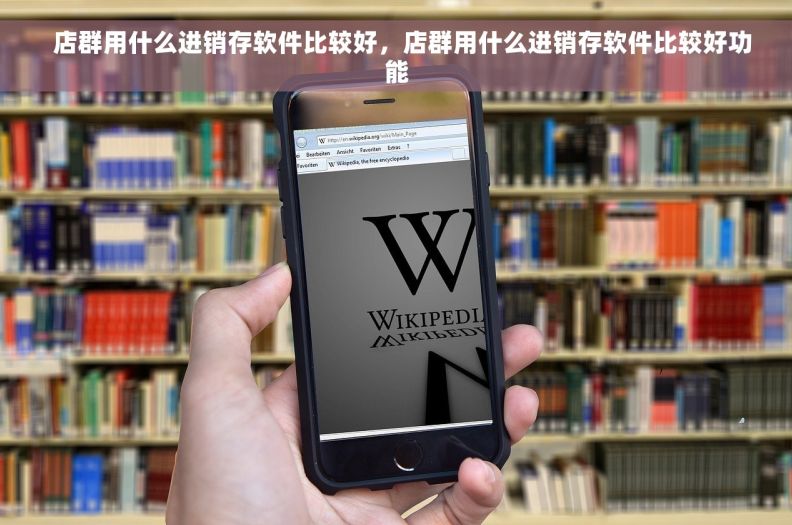   店群用什么进销存软件比较好，店群用什么进销存软件比较好功能