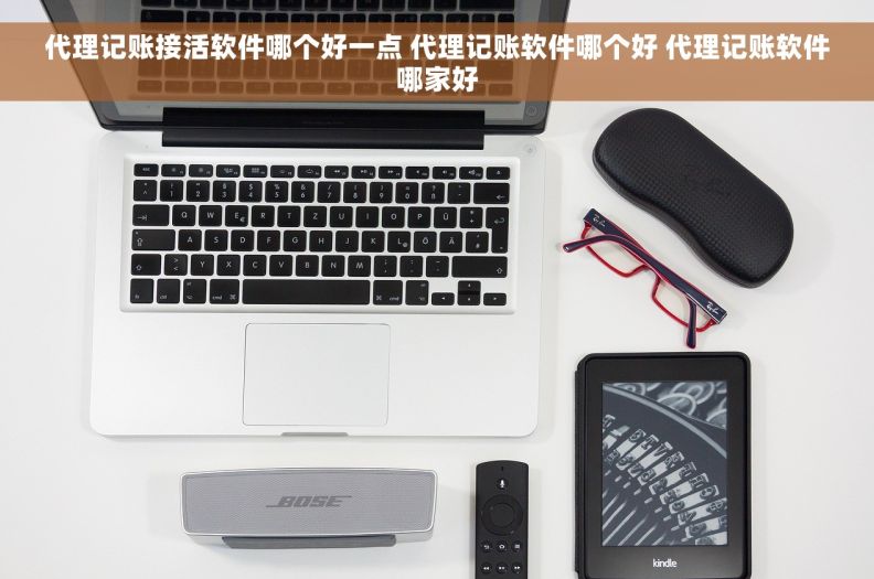 代理记账接活软件哪个好一点 代理记账软件哪个好 代理记账软件哪家好