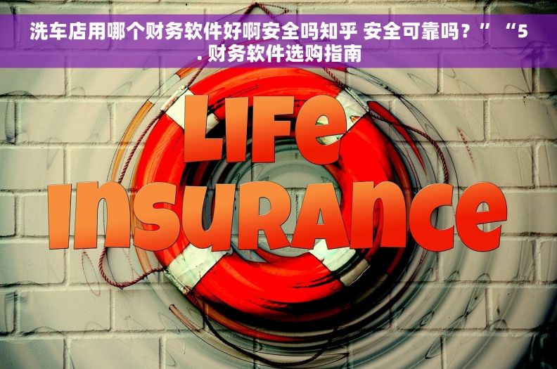 洗车店用哪个财务软件好啊安全吗知乎 安全可靠吗？”“5. 财务软件选购指南