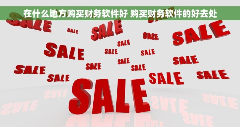 在什么地方购买财务软件好 购买财务软件的好去处