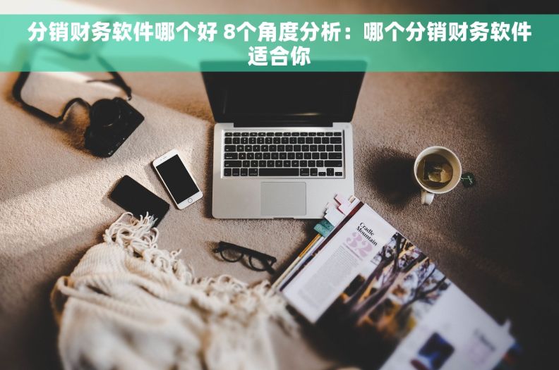 分销财务软件哪个好 8个角度分析：哪个分销财务软件适合你
