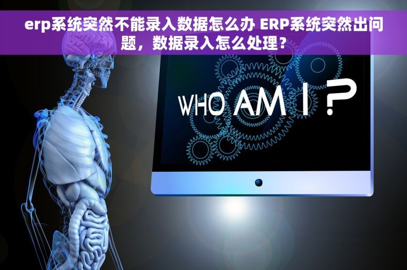 erp系统突然不能录入数据怎么办 ERP系统突然出问题，数据录入怎么处理？
