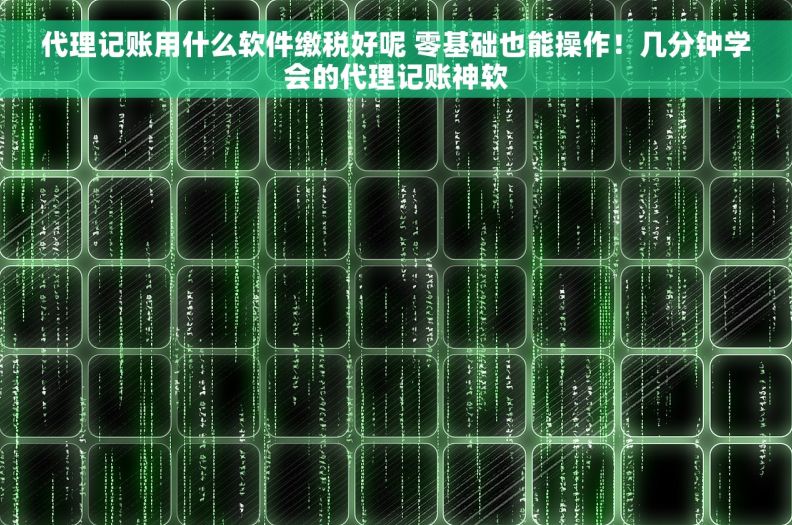 代理记账用什么软件缴税好呢 零基础也能操作！几分钟学会的代理记账神软